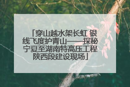 穿山越水架长虹 银线飞度护青山——探秘宁夏至湖南特高压工程陕西段建设现场