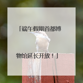 端午假期首都博物馆延长开放！