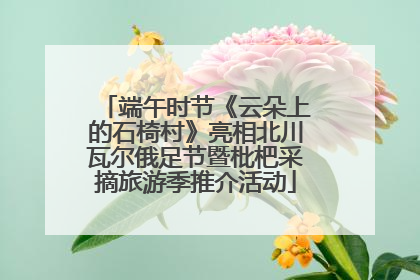 端午时节《云朵上的石椅村》亮相北川瓦尔俄足节暨枇杷采摘旅游季推介活动