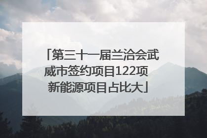 第三十一届兰洽会武威市签约项目122项 新能源项目占比大