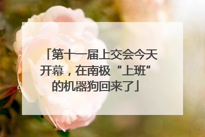 第十一届上交会今天开幕，在南极“上班”的机器狗回来了