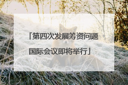 第四次发展筹资问题国际会议即将举行