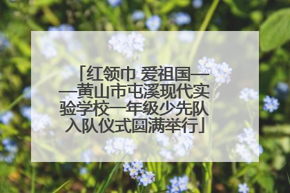 红领巾 爱祖国——黄山市屯溪现代实验学校一年级少先队入队仪式圆满举行