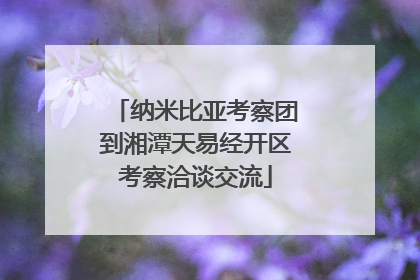 纳米比亚考察团到湘潭天易经开区考察洽谈交流