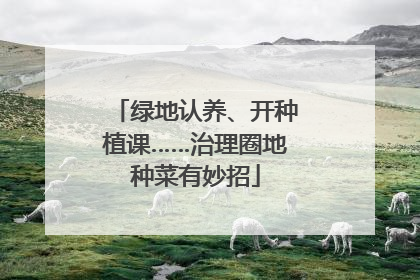 绿地认养、开种植课……治理圈地种菜有妙招
