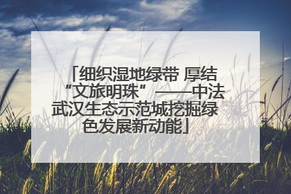 细织湿地绿带 厚结“文旅明珠”——中法武汉生态示范城挖掘绿色发展新动能
