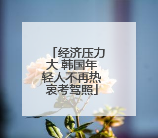 经济压力大 韩国年轻人不再热衷考驾照