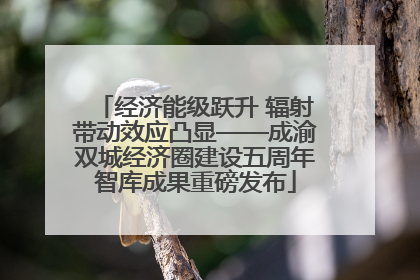 经济能级跃升 辐射带动效应凸显——成渝双城经济圈建设五周年智库成果重磅发布