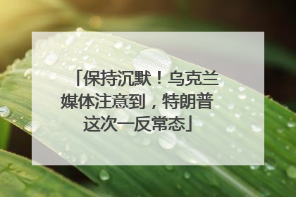 保持沉默！乌克兰媒体注意到，特朗普这次一反常态