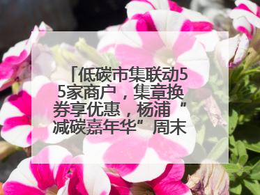 低碳市集联动55家商户，集章换券享优惠，杨浦“减碳嘉年华”周末亮相大学路