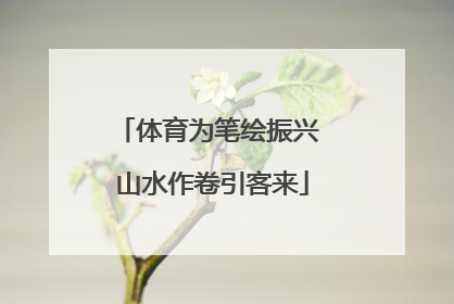 体育为笔绘振兴 山水作卷引客来
