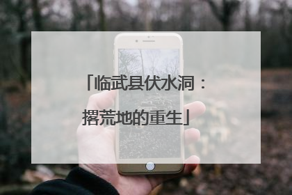 临武县伏水洞：撂荒地的重生