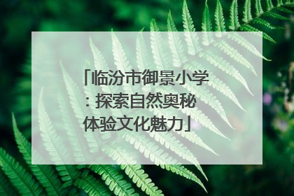 临汾市御景小学：探索自然奥秘 体验文化魅力