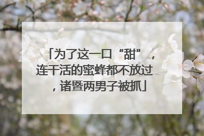 为了这一口“甜”，连干活的蜜蜂都不放过，诸暨两男子被抓