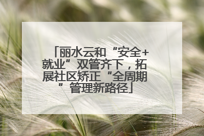 丽水云和“安全+就业”双管齐下，拓展社区矫正“全周期”管理新路径
