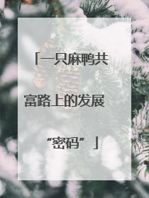 一只麻鸭共富路上的发展“密码”