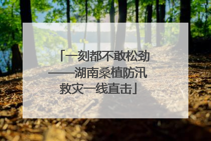一刻都不敢松劲——湖南桑植防汛救灾一线直击