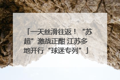 一天丝滑往返！“苏超”激战正酣 江苏多地开行“球迷专列”