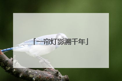 一帘灯影溯千年