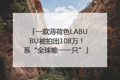 一款薄荷色LABUBU被拍出108万！系“全球唯一一只”