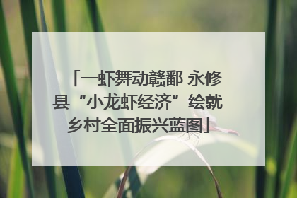 一虾舞动赣鄱 永修县“小龙虾经济”绘就乡村全面振兴蓝图