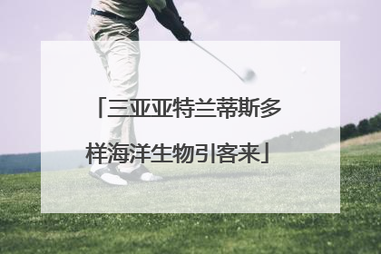 三亚亚特兰蒂斯多样海洋生物引客来