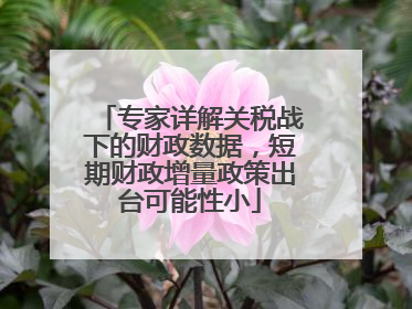 专家详解关税战下的财政数据，短期财政增量政策出台可能性小