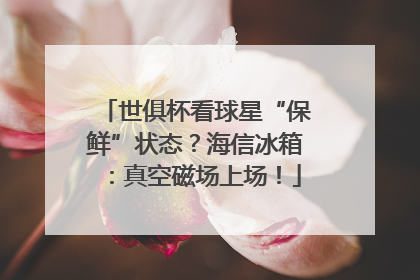 世俱杯看球星“保鲜”状态？海信冰箱：真空磁场上场！