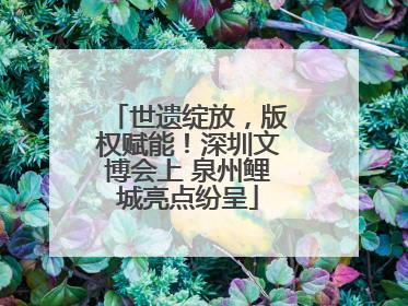 世遗绽放，版权赋能！深圳文博会上 泉州鲤城亮点纷呈