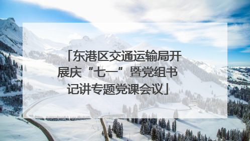 东港区交通运输局开展庆“七一”暨党组书记讲专题党课会议