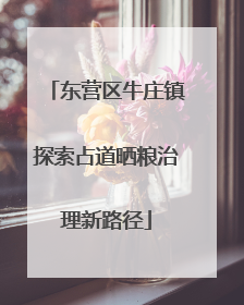 东营区牛庄镇探索占道晒粮治理新路径