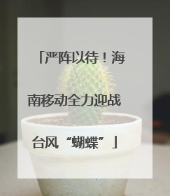 严阵以待！海南移动全力迎战台风“蝴蝶”