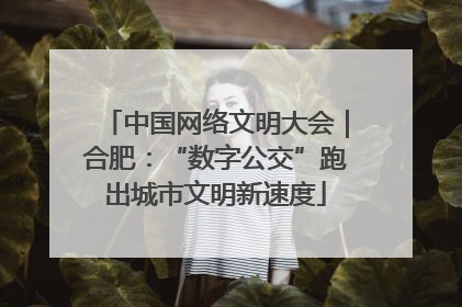 中国网络文明大会｜合肥：“数字公交”跑出城市文明新速度