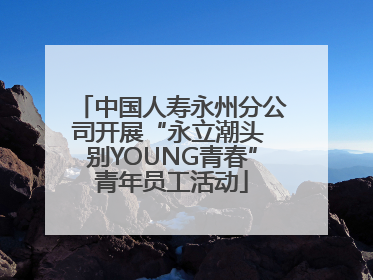 中国人寿永州分公司开展“永立潮头 别YOUNG青春”青年员工活动