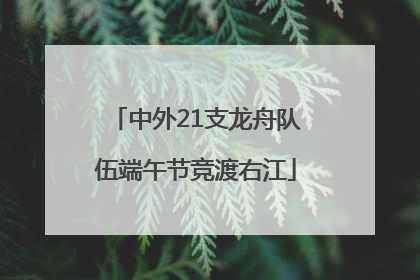 中外21支龙舟队伍端午节竞渡右江