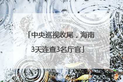 中央巡视收尾，海南3天连查3名厅官