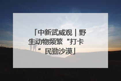 中新武威观｜野生动物频繁“打卡”民勤沙漠