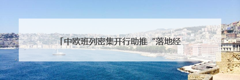 中欧班列密集开行助推“落地经济” 激活周边地区发展新动能