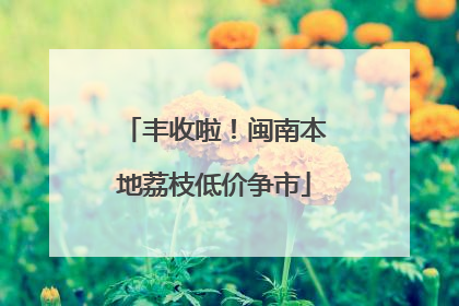 丰收啦！闽南本地荔枝低价争市