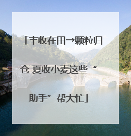 丰收在田→颗粒归仓 夏收小麦这些“助手”帮大忙