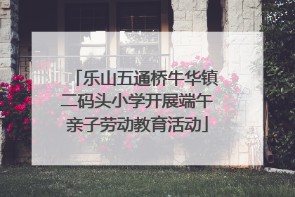 乐山五通桥牛华镇二码头小学开展端午亲子劳动教育活动