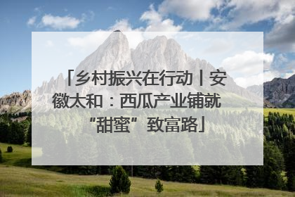 乡村振兴在行动丨安徽太和：西瓜产业铺就“甜蜜”致富路