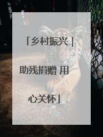 乡村振兴｜助残捐赠 用心关怀