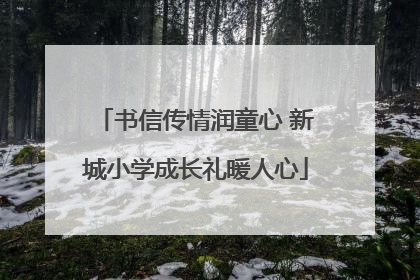书信传情润童心 新城小学成长礼暖人心