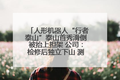 人形机器人“行者泰山”泰山首秀滑倒被抬上担架 公司：检修后独立下山 测试就是为暴露问题