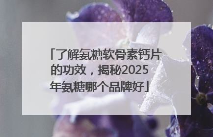 了解氨糖软骨素钙片的功效，揭秘2025年氨糖哪个品牌好
