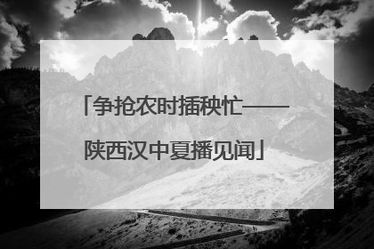 争抢农时插秧忙——陕西汉中夏播见闻