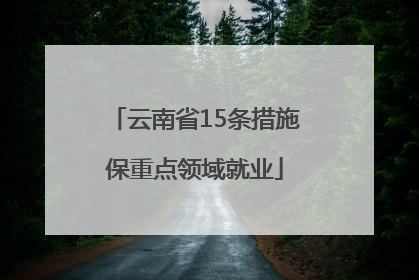 云南省15条措施保重点领域就业