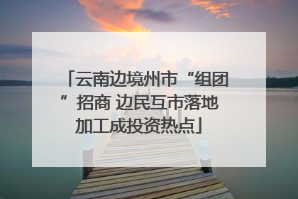 云南边境州市“组团”招商 边民互市落地加工成投资热点