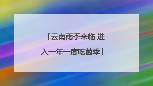云南雨季来临 进入一年一度吃菌季